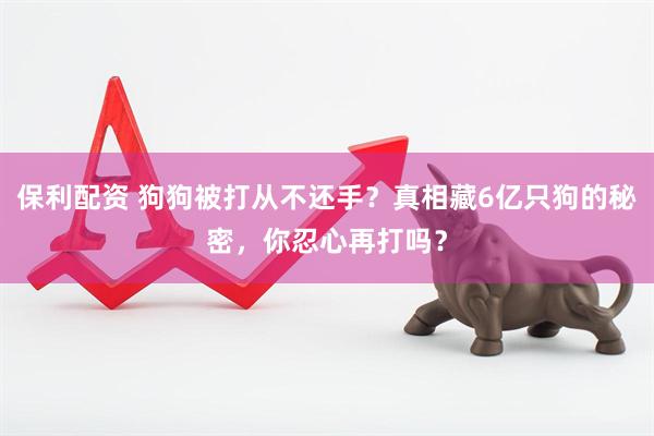 保利配资 狗狗被打从不还手？真相藏6亿只狗的秘密，你忍心再打吗？