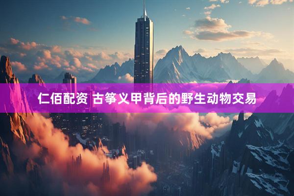 仁佰配资 古筝义甲背后的野生动物交易