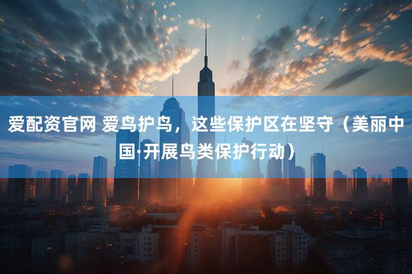 爱配资官网 爱鸟护鸟，这些保护区在坚守（美丽中国·开展鸟类保护行动）