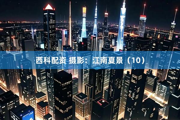 西科配资 摄影：江南夏景（10）
